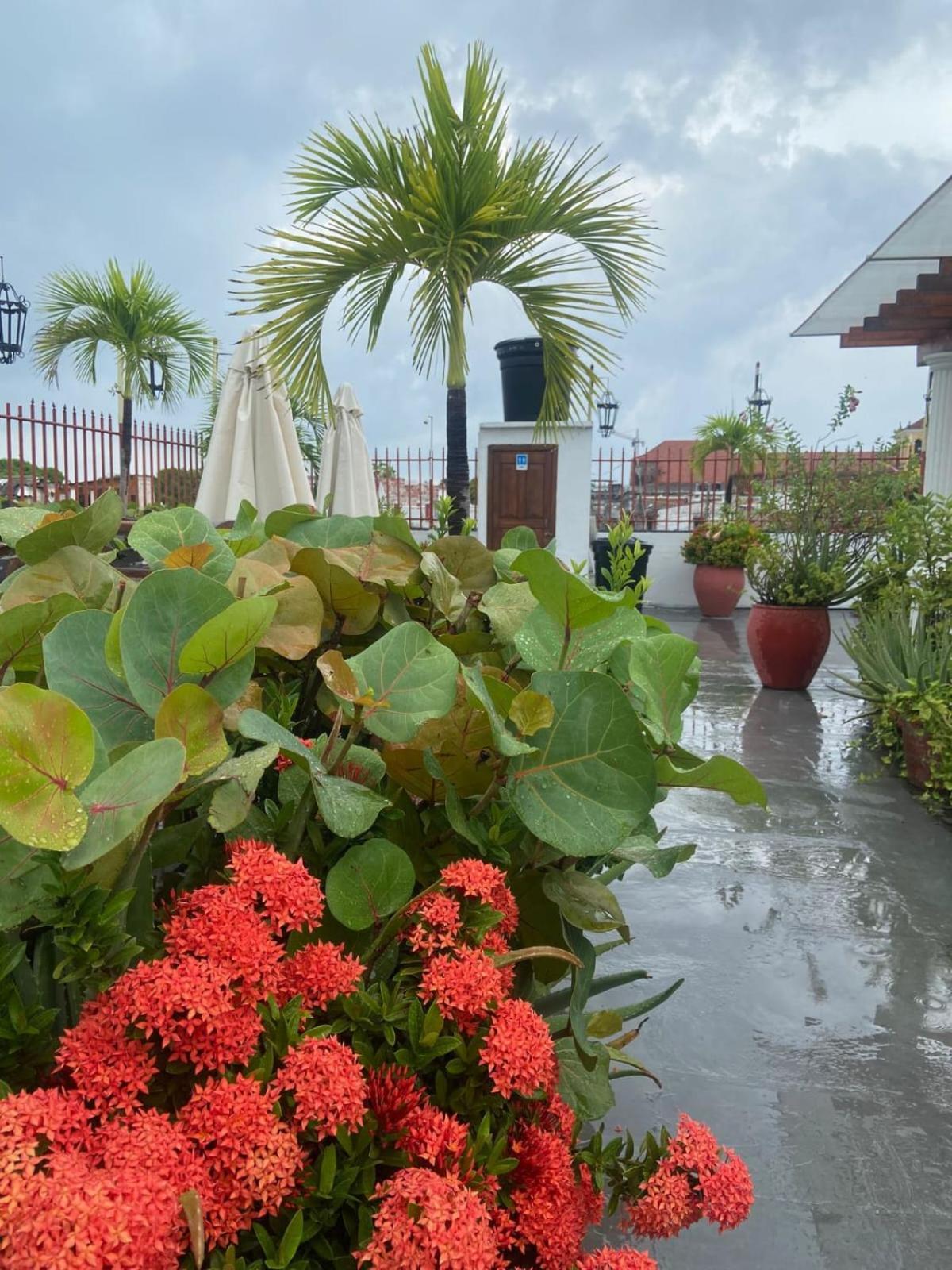 Patio De Getsemani Hotel Cartagena ภายนอก รูปภาพ